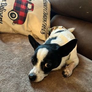 Meet your Posher, Cheryl